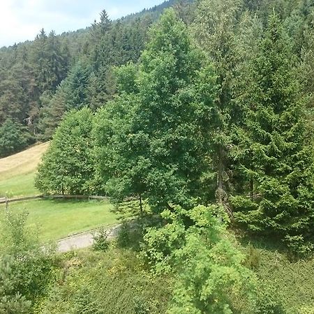 Waldblick Tonbach Apartment Baiersbronn Cameră foto