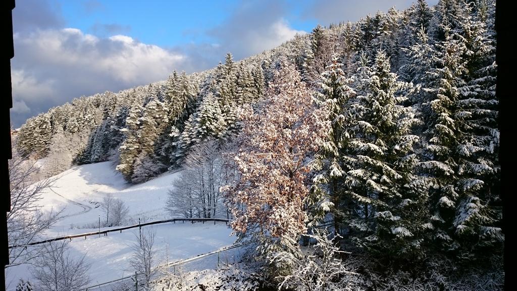 Waldblick Tonbach Apartment Baiersbronn Cameră foto