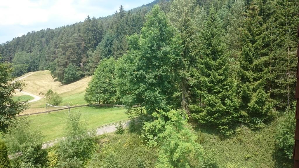 Waldblick Tonbach Apartment Baiersbronn Cameră foto