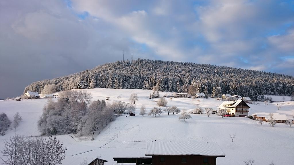Waldblick Tonbach Apartment Baiersbronn Exterior foto