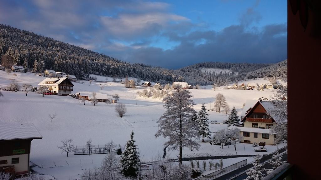 Waldblick Tonbach Apartment Baiersbronn Cameră foto