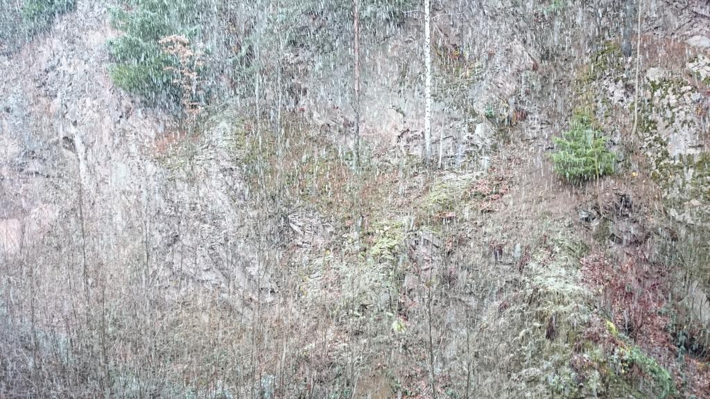 Waldblick Tonbach Apartment Baiersbronn Cameră foto