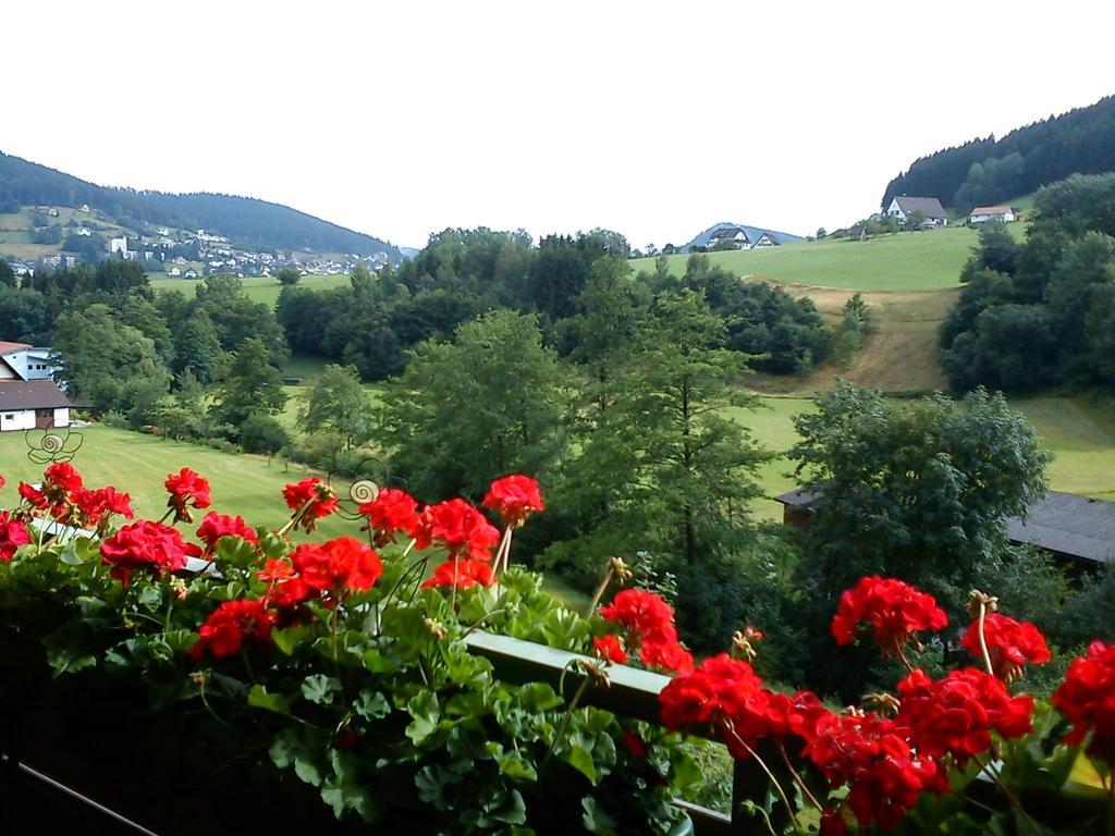 Waldblick Tonbach Apartment Baiersbronn Cameră foto